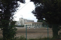 坪井中学校
