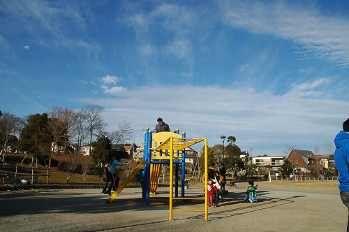 坪井近隣公園